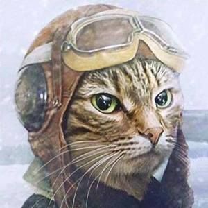 Meet your Posher, Thomas